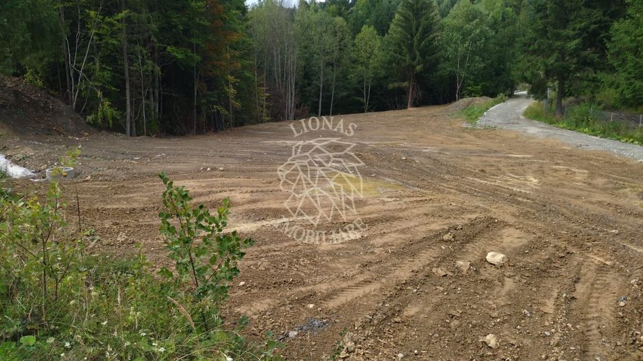 Teren intravilan 1350 mp-parcelabil-ideal cabana/restaurant-Colibita - Poză 3