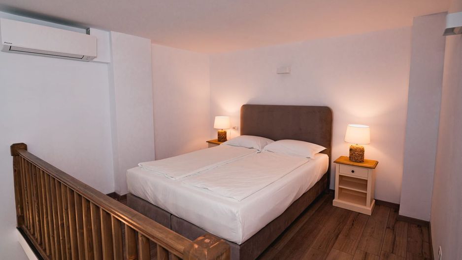 Business la cheie - Proprietate tip pensiune cu rating 9,8/10 Booking - Poză 5