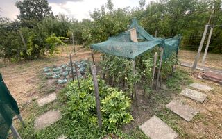 Casa | 9 camere | Garaj | Piscina | Teren 3.000 mp | Comision 0% - Poză 46