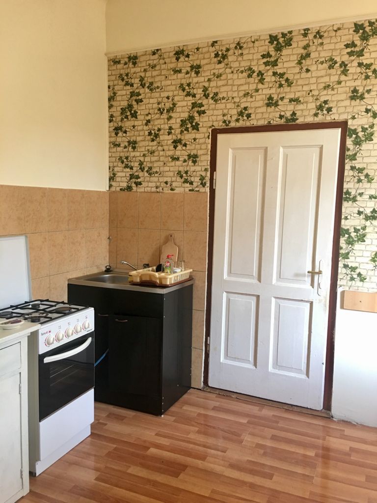 Casa cu apartamente si SAD -uri in zona Traian - Poză 4