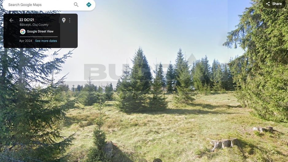 Teren intravilan, 1400 mp, Balcesti, Belis - Poză 1