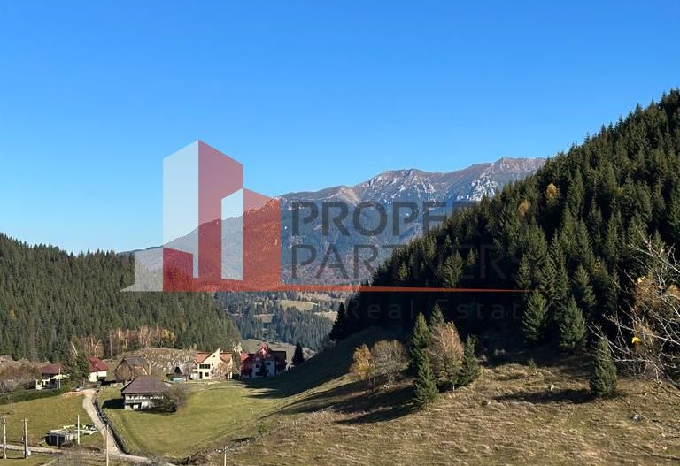 Teren Fundatica intravilan 4500 mp - Poză 13