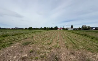 Casă Măneuți | 2.800 mp teren intravilan | Complet mobilată - Poză 24