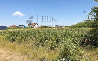 Teren intravilan 1114 mp Sanmartin - Poză 1