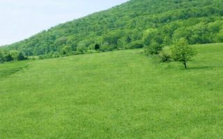 ​Oportunitate Investiție: Teren Intravilan 4.100 mp – Viișoara - Poză 1