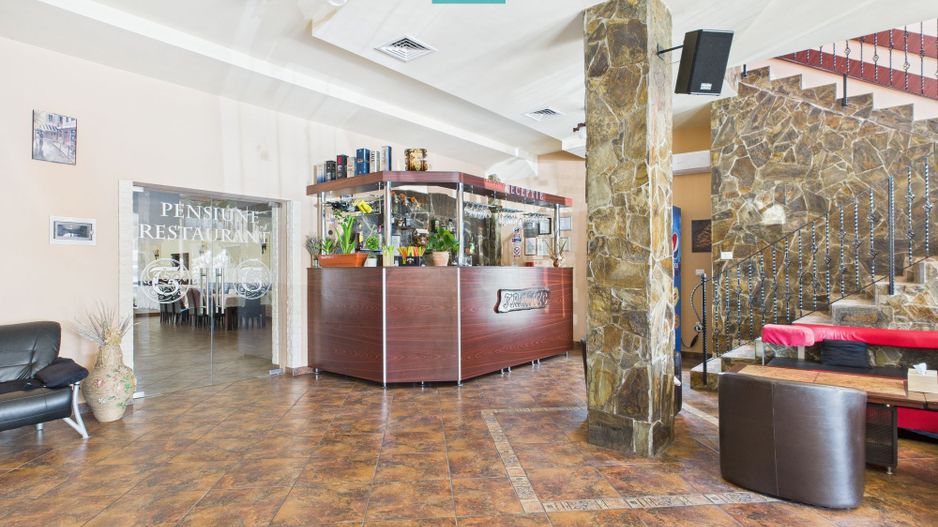 Pensiune la Orțișoara - Poză 2