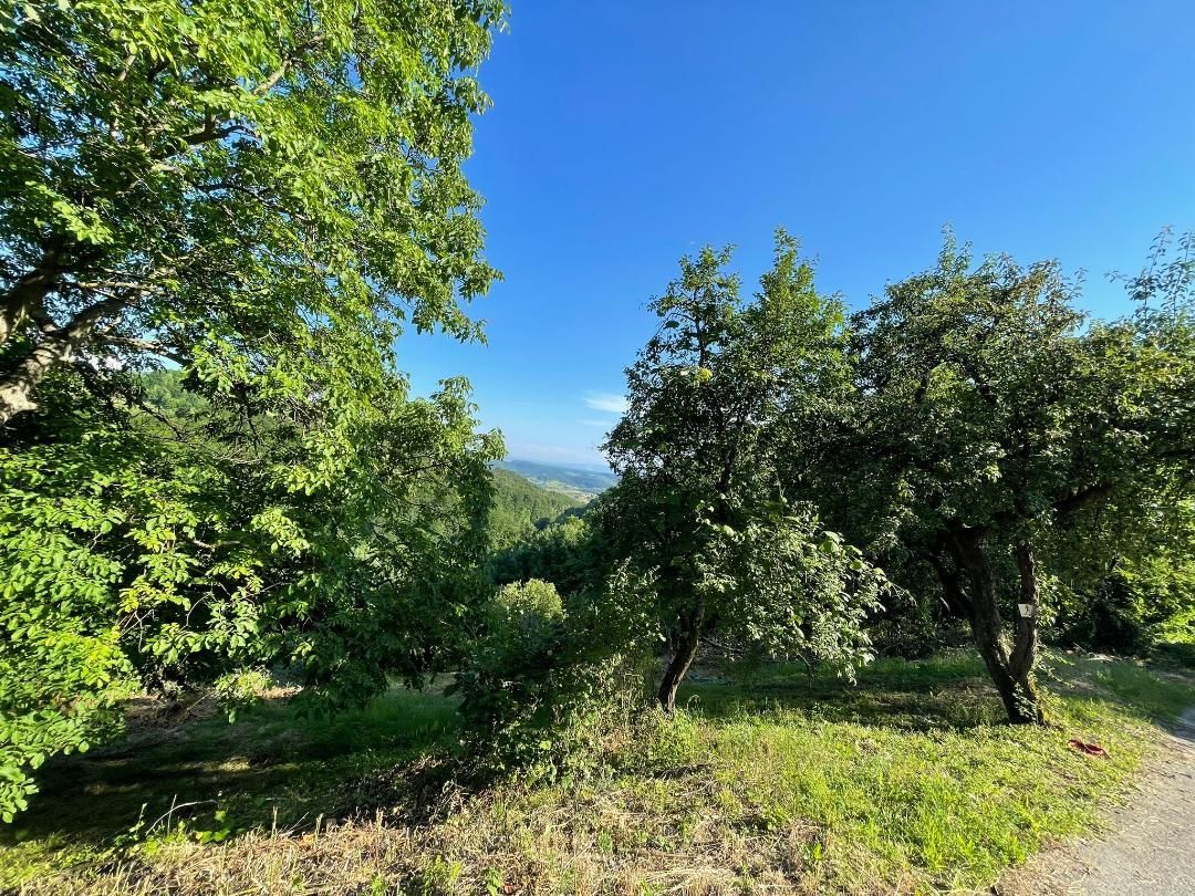 Teren zona turistica Rosia - Poză 2