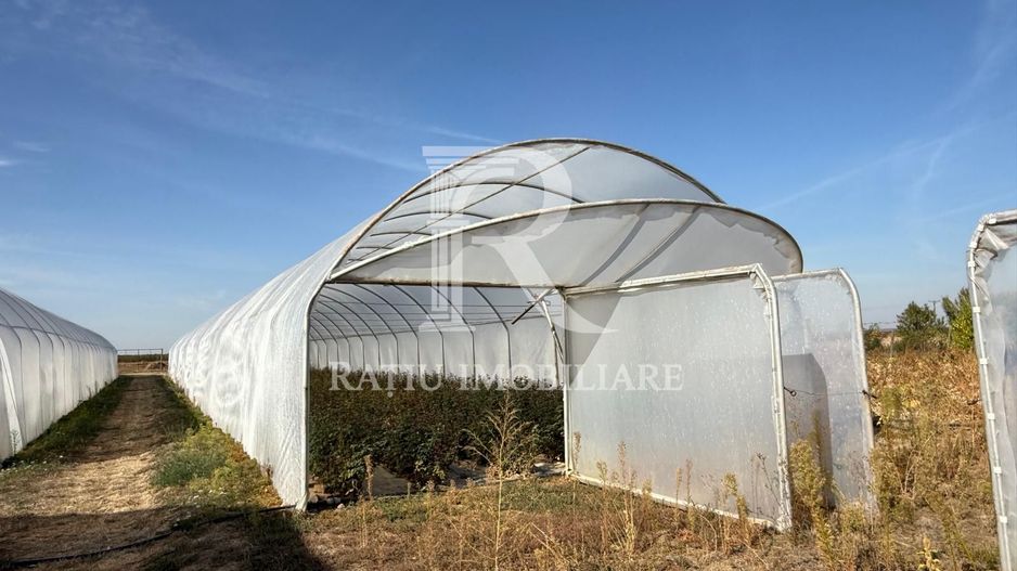 Teren intravilan agricol | 7029 mp | Satu Nou | Bihor - Poză 9