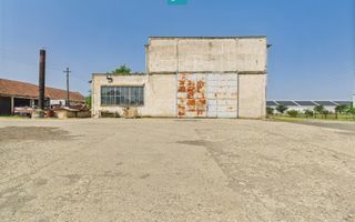 Complex industrial cu hale și teren  în Orțișoara - Poză 35