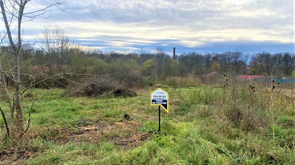 Terenuri de vânzare BUZIAS - Poză 7