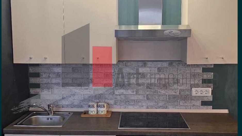 STUDIO - MOSILOR CU BULEVARD CAROL - Poză 7