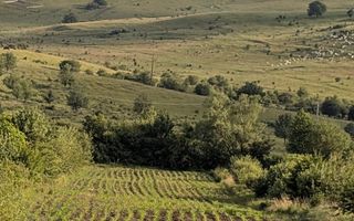 COMISION 0% Teren 3004 mp cu utilitati-cota drum-Dealul Budacului - Poză 1
