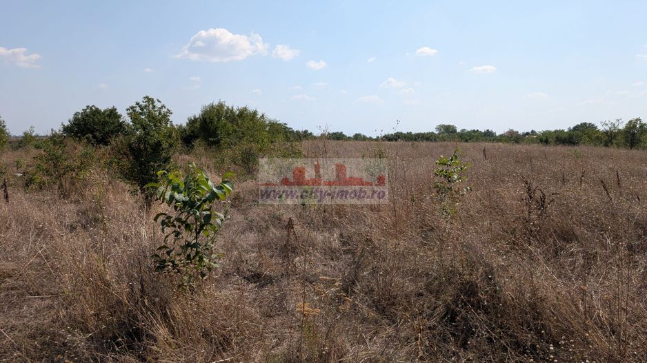 Teren de Vanzare Comuna Ciocanesti Jud Dambovita, 17.7 km de Bucuresti - Poză 2