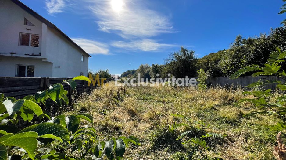 Teren 1220mp intravilan Bascov, AG - Poză 1