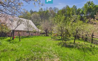 Casă Câmpani, 8000 mp teren, la poalele Apusenilor - Poză 19