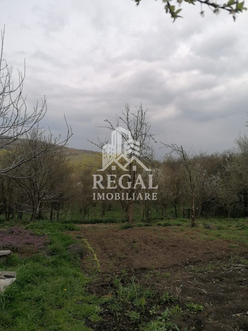 Casă de vânzare în Cerisor – liniște, natură și teren generos! - Poză 3