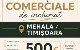 Spații Comerciale Mehala | 61 mp | 57 mp | 35 mp | SAD - Poză 1