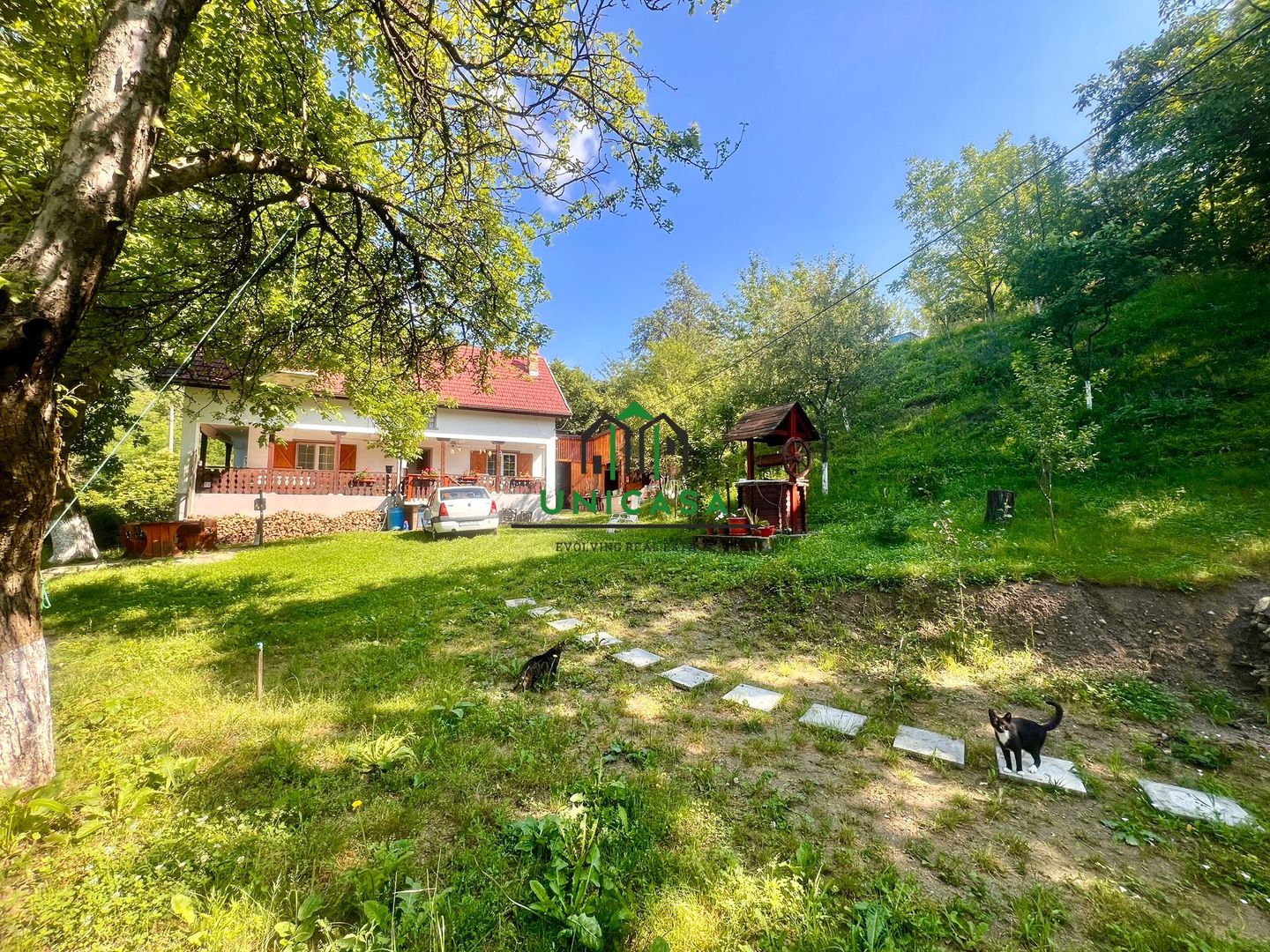 Casa cu teren generos 2919 mp/ Sat Andreesti / Comuna Mueresca - Poză 4
