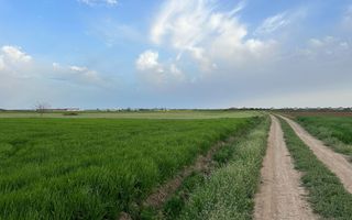 Teren intravilan cu destinatie rezidentiala 7.458 mp Balotesti - Poză 1