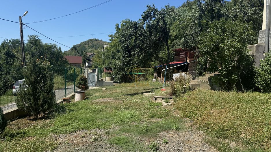 De vanzare Casa cu teren 3500MP in Sabisa/Maramures - Poză 9