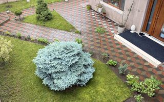 Casă de vânzare, 4 camere, 340 mp, Lunca Cetățuii – 310.000 EUR - Poză 4