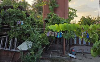 Casă și teren 2177 mp Ortisoara -28ml front-comision 0 - Poză 11