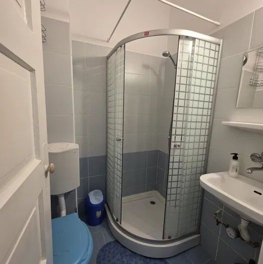 Apartament 1 Camera De Inchiriat | Central | Etaj Interemediar | Decomandat - Poză 6