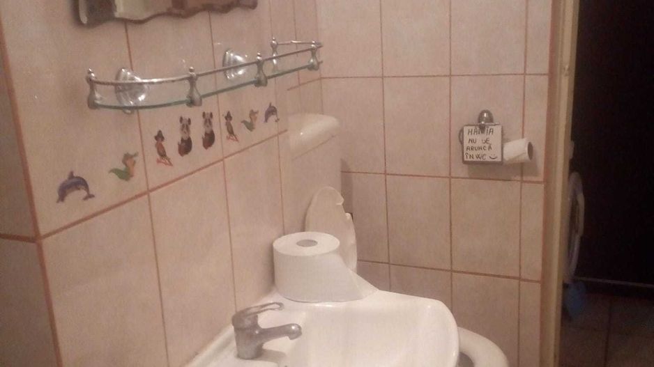 🏡 Apartament 2 camere cu 2 balcoane, etaj 2, Bd. Siderurgiștilor - Poză 4