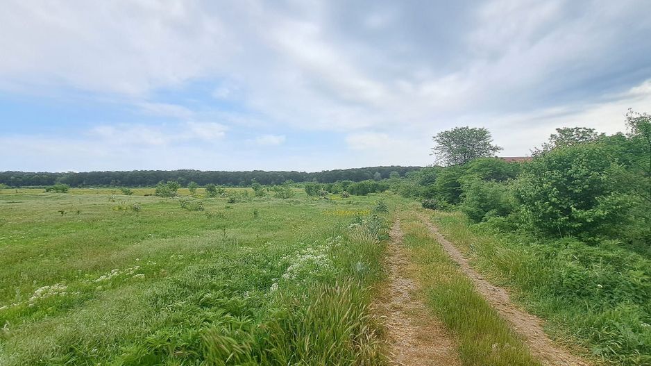 Teren intravilan 3656 mp - Padurea Andronache - Poză 3