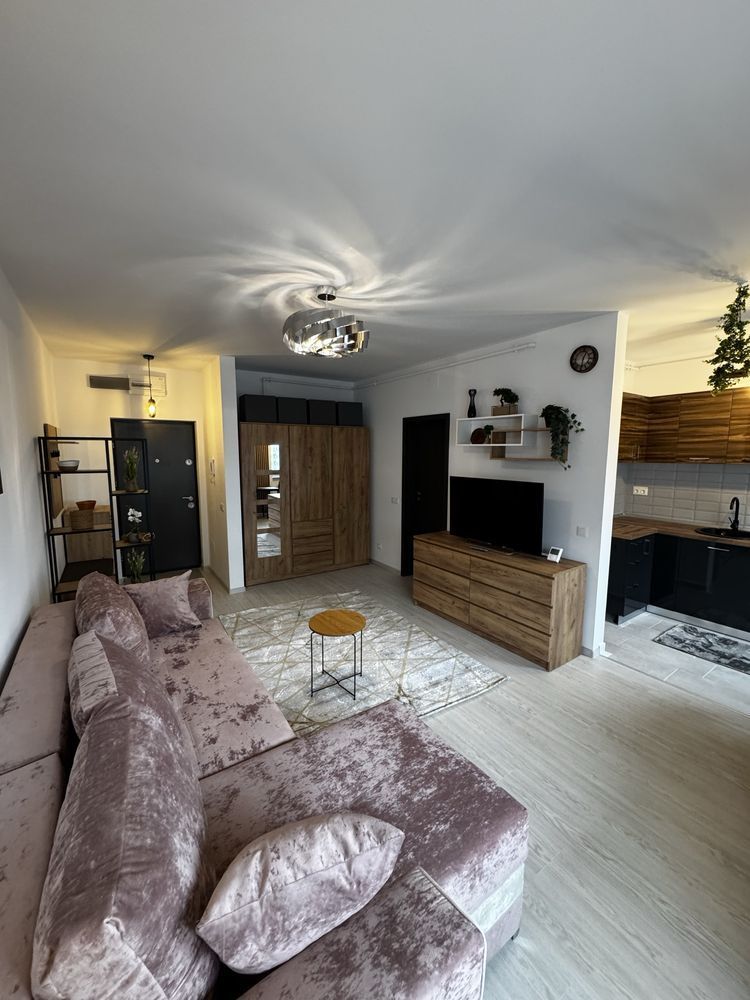 Studio Modern Panorama Lacul Morii - Poză 2