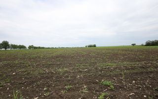 Teren de vanzare in Manesti, Prahova | 18.000 mp | Deschidere 60 ml - Poză 3