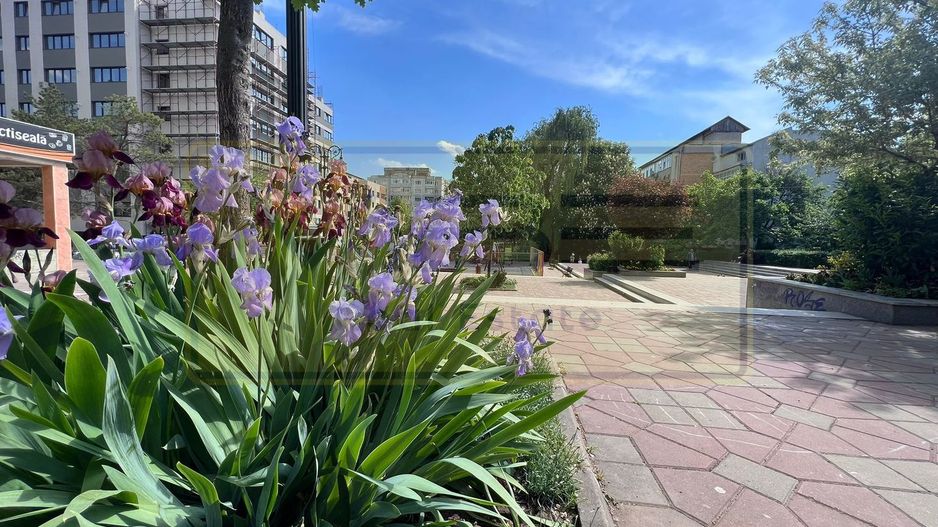 Apartament 3 camere premium Tatarasi Parcul Ciurchi - Poză 17