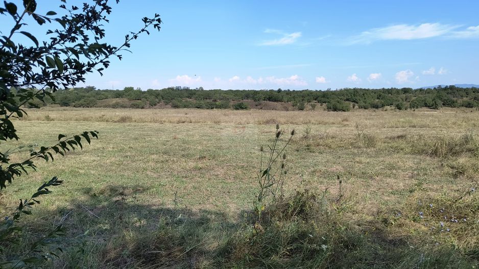 Teren intravilan investitie - Poză 1