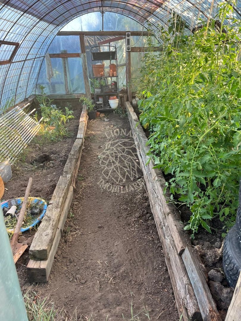 Casă ecologică 113 mp utili cu utilitati  + Teren 3100 mp, Balda, județul Mures - Poză 9