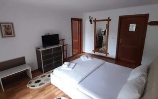 Pensiune superba in Muntii Apuseni, 2740 mp teren. COMISION ZERO! - Poză 17