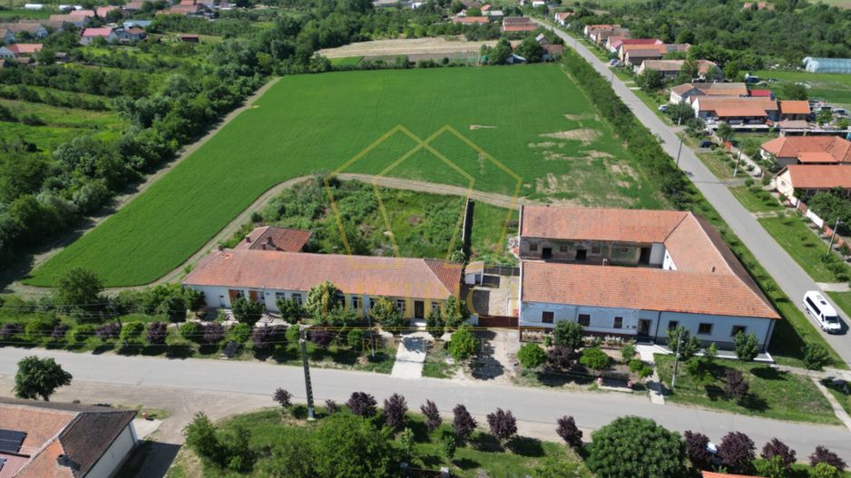 Casa cu istorie, teren de aproape 2 hectare si potențial rar | Petrovaselo - Poză 16
