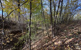 TEREN INTRAVILAN 13167 MP BUGHEA DE SUS ARGES - Poză 20