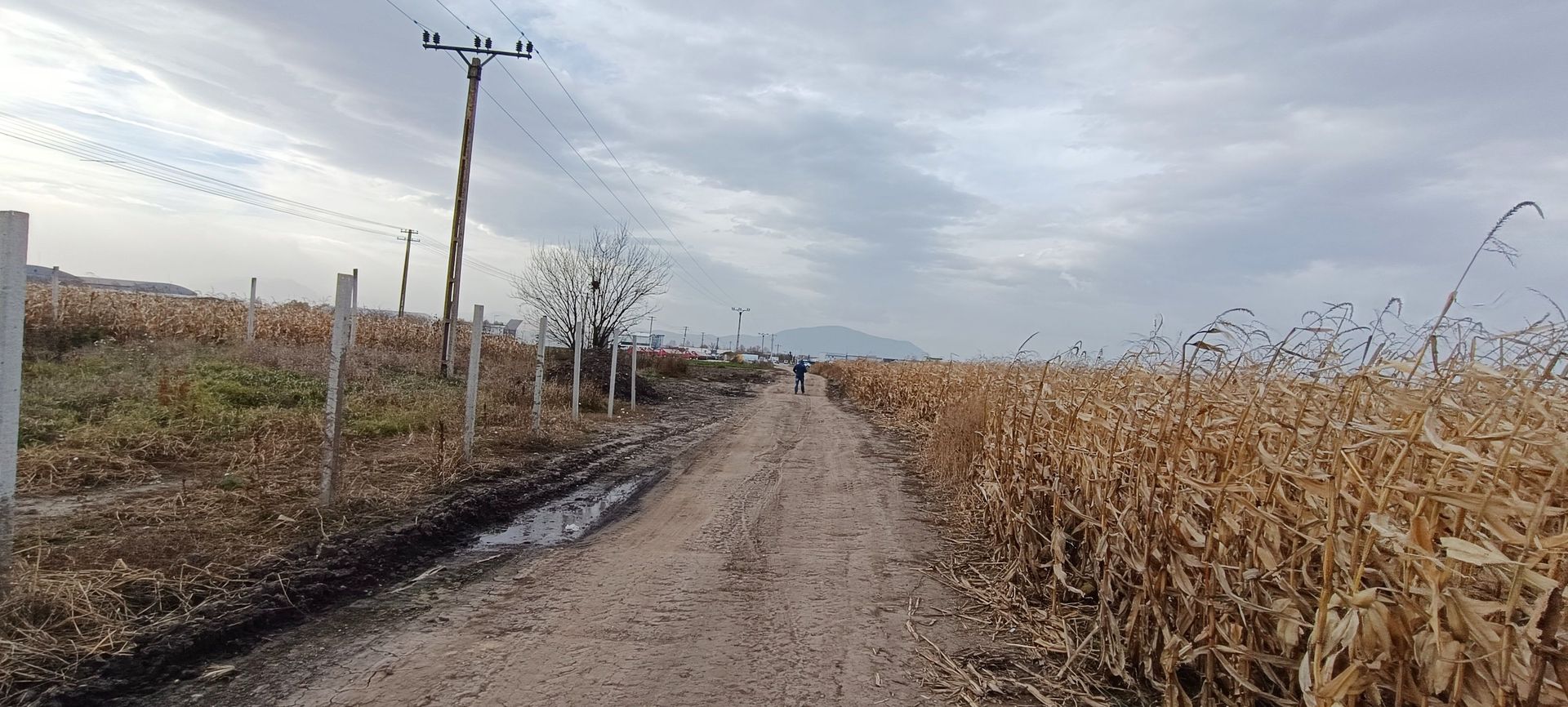 Teren intravilan industrial,str.Durau - Poză 8