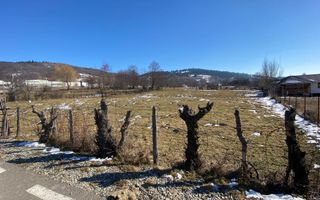 TEREN INTRAVILAN 1913 MP LERESTI ARGES - Poză 2