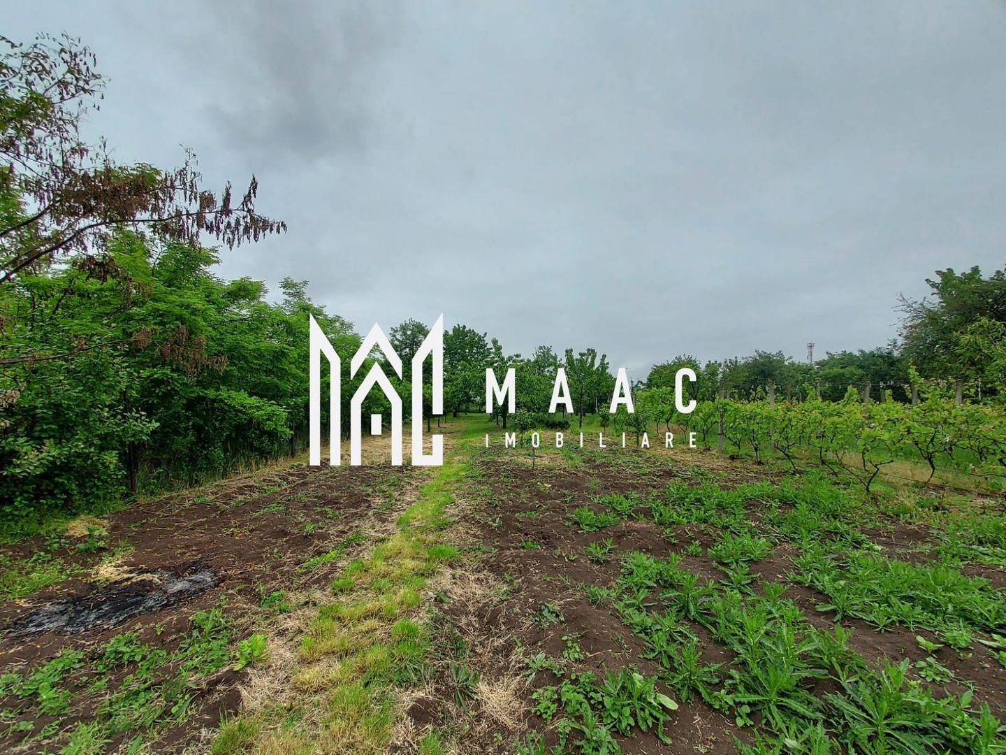 Casa | 1331 mp Teren | Miercurea Sibiului | - Poză 9