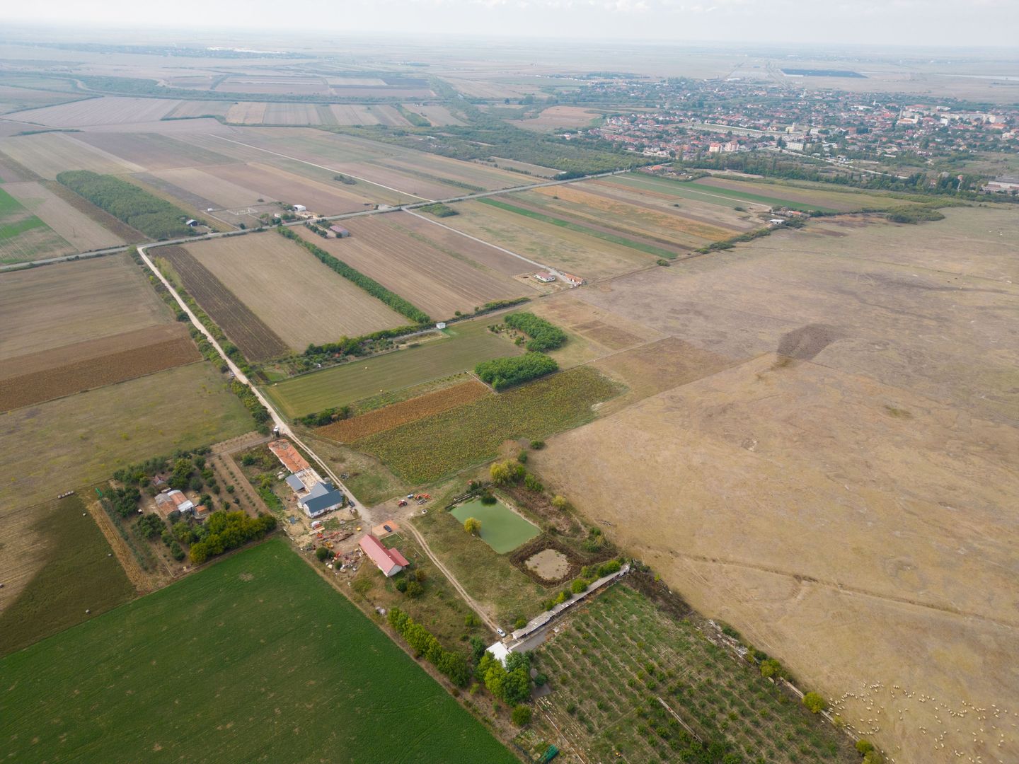 Teren intravilan cu iazuri și casă - Chișineu-Criș - Poză 13