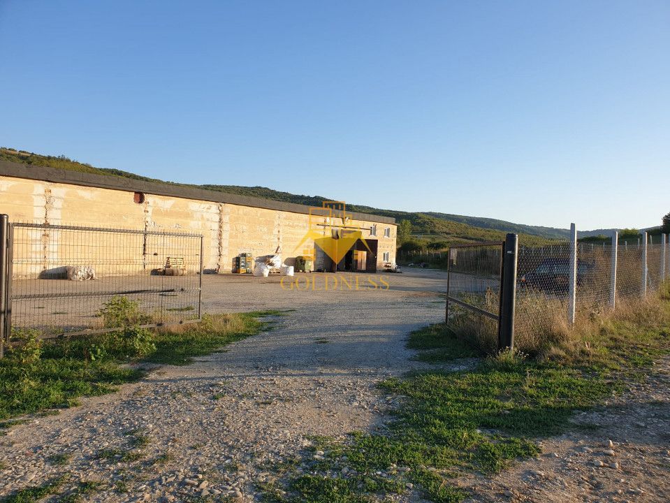 Hala industriala Dej cu platforma betonata curent trifazi - Poză 5