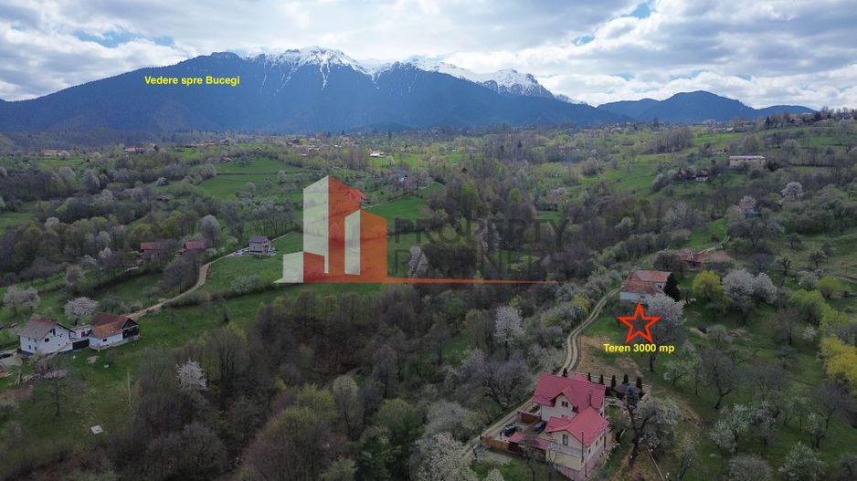 TEREN PREMIUM ÎN BRAN – SOHODOL | 3000 MP CU PANORAMĂ EXCEPȚIONALĂ - Poză 5