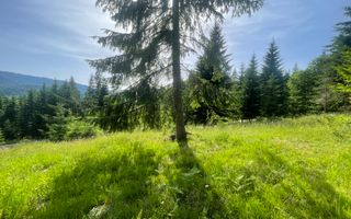 Teren de vanzare Colibita ! EXCLUSIVITATE! - Poză 3