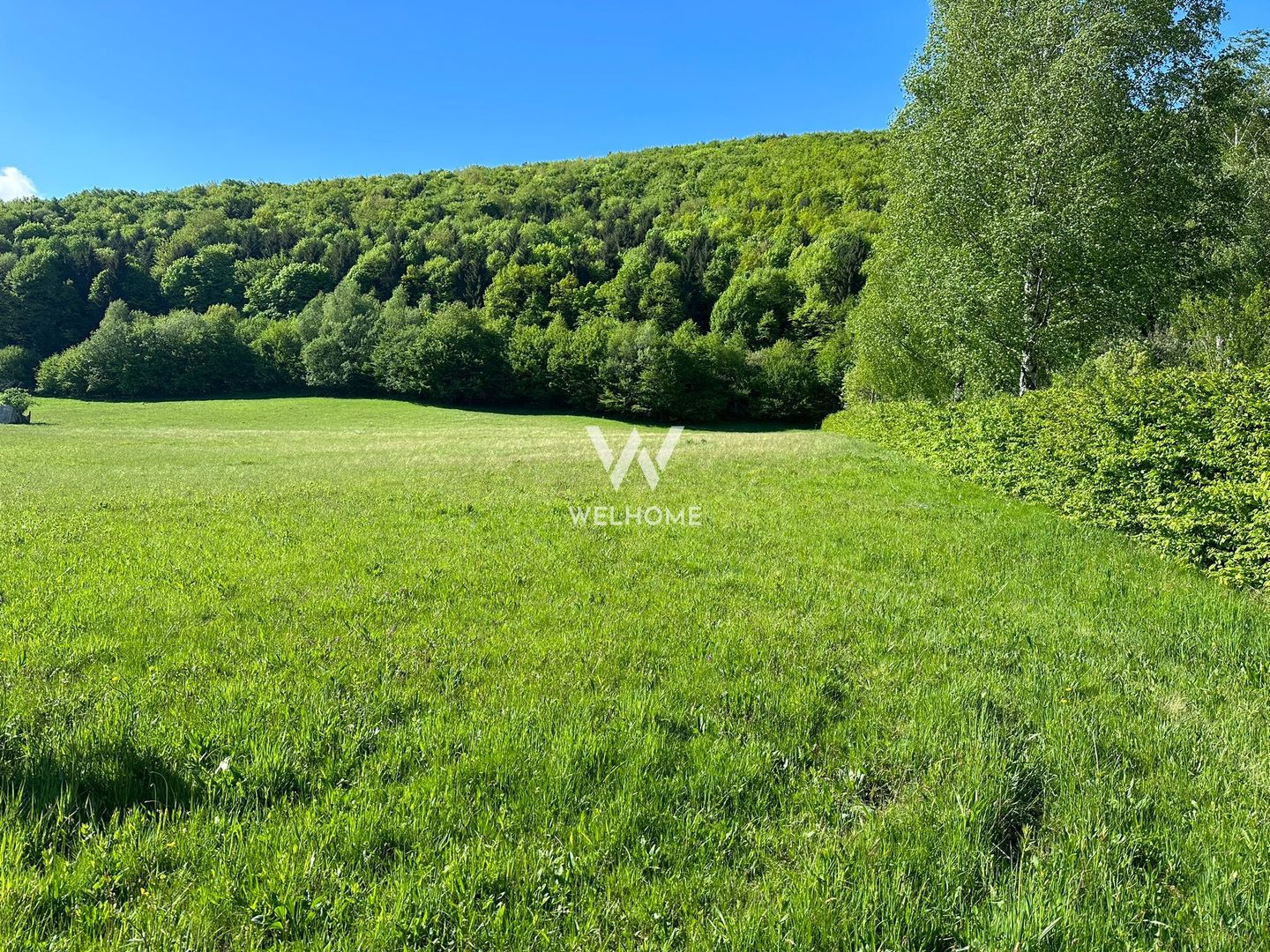 Teren Intravilan in Tocile-priveliste deosebita - Sadu - Sibiu - Poză 2