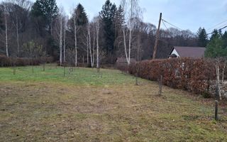 Teren 2000 mp, langa padure,  pe Valea Avrigului - Sibiu - Poză 4