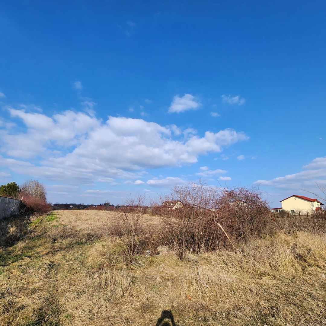 Teren cu deschidere lac Snagov Vladiceasca - Poză 8