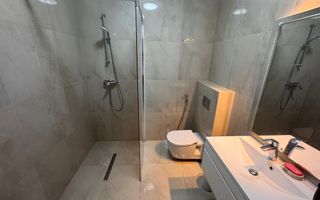 Vila Volutari 5 Camere Matei Millo - Poză 18