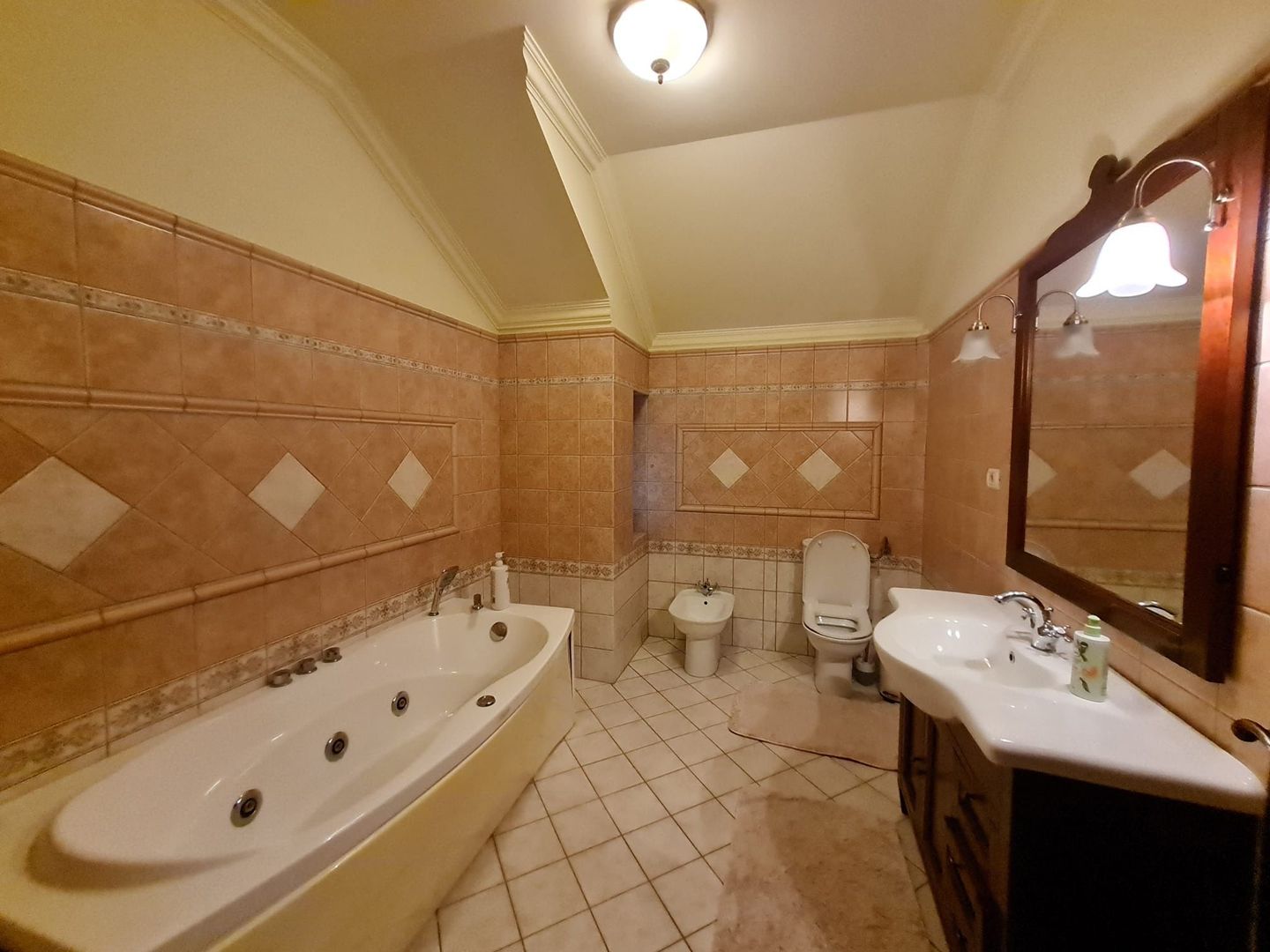 Poziție de top în Dumbravita - Poză 13