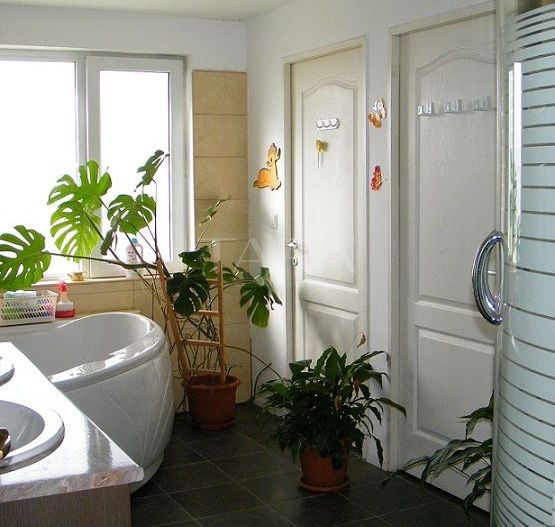 Apartament de 3 camere, Baciu - Poză 8